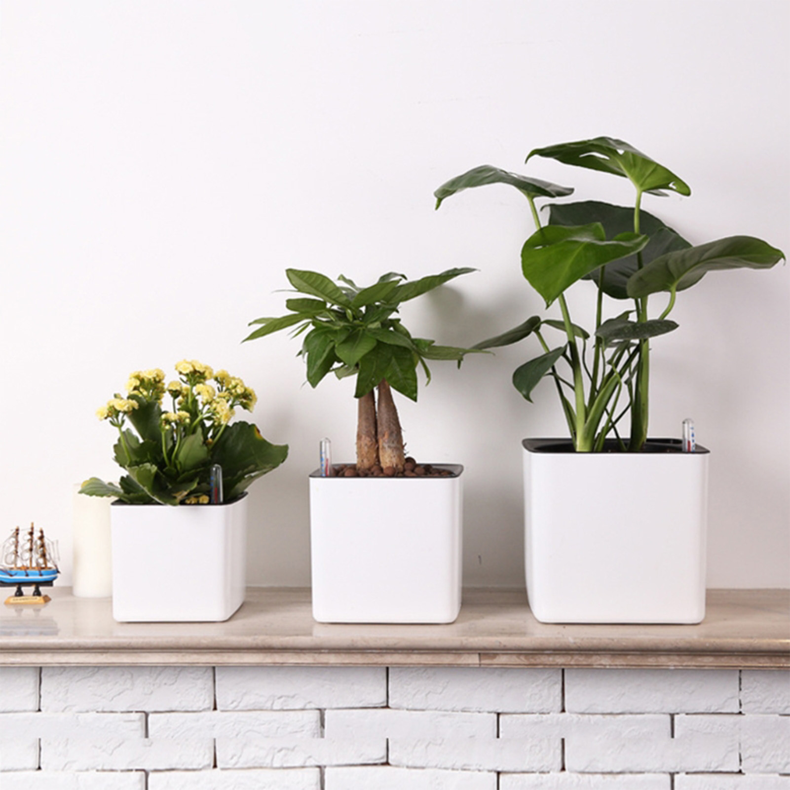 Self Watering Insert - Pot de fleurs paresseux de 3