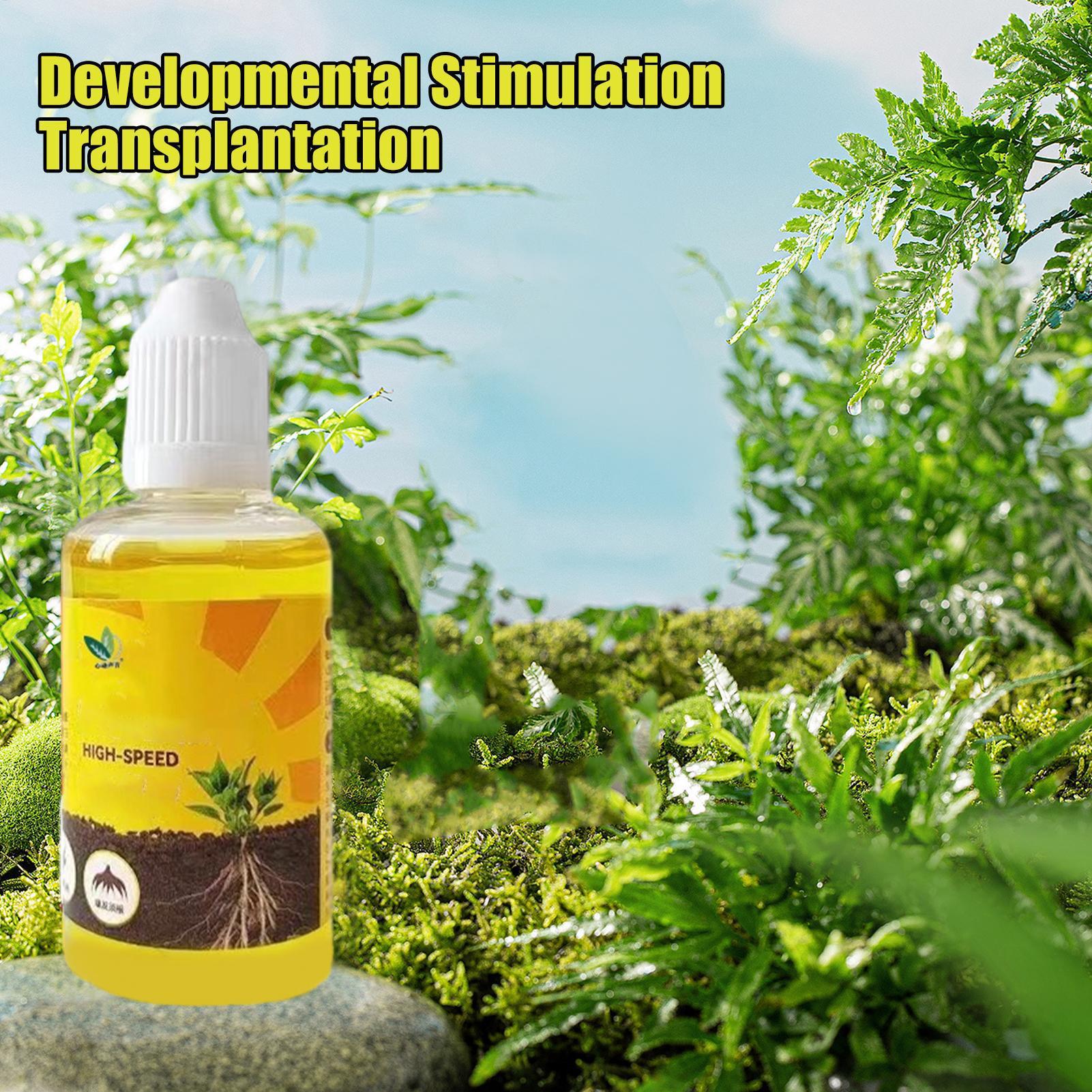 Root Stimulator Liquid - Liquide de résurrection végétale 50ml, engrais