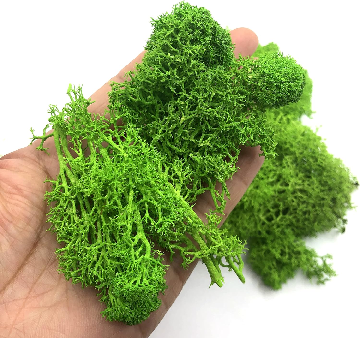 Sphagnum Moss Dry - Mini plantes vertes artificielles, 200g, paysage,