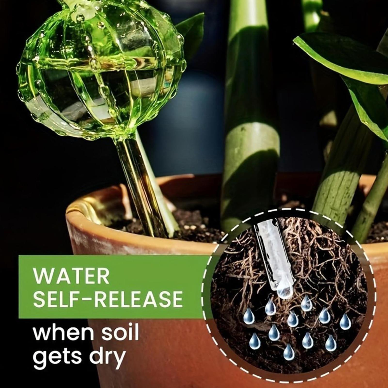 Self Watering Insert - Piquets d'arrosage pour plantes, 3 pièces,