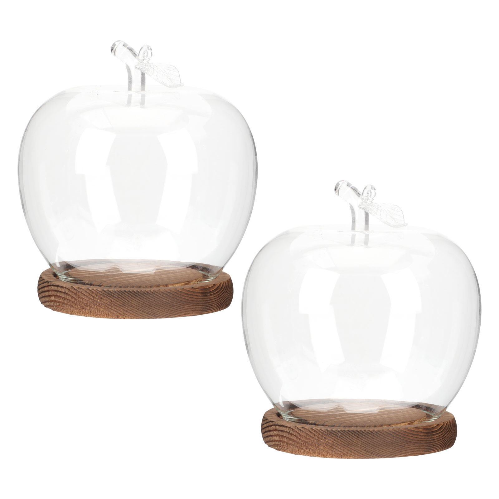 Plastic Dome Clear - Lot de 2 cloches en verre