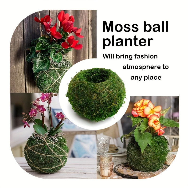 Pot de mousse artificielle, po - Sphagnum Moss Dry avis et prix
