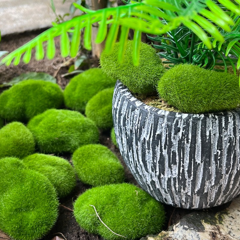 100/5 PIÈCES Pierres artificie - Sphagnum Moss Dry avis et prix