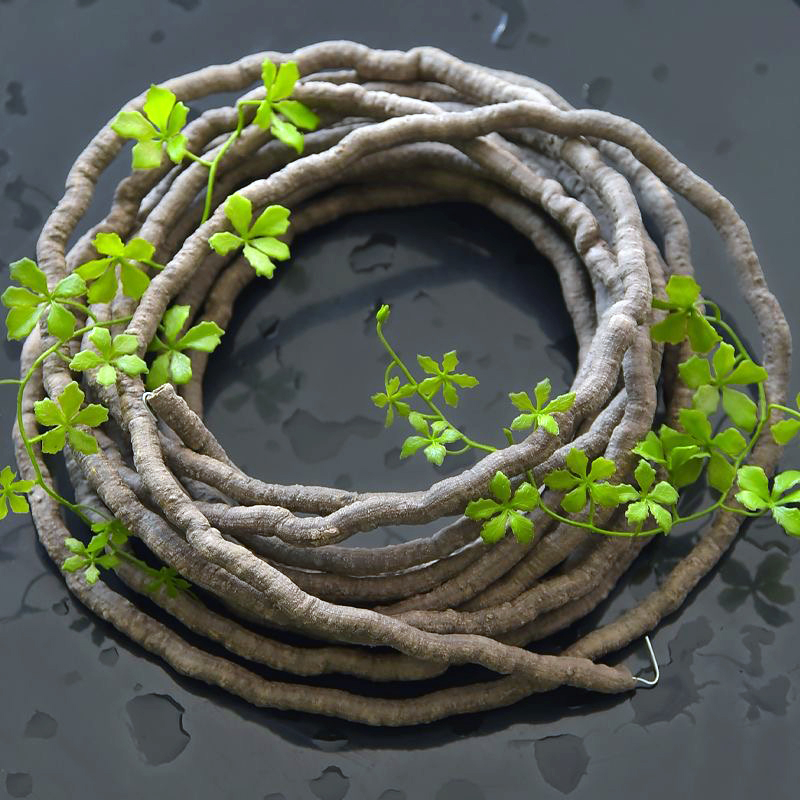Plantes artificielles de lierr - Sphagnum Moss Dry avis et prix