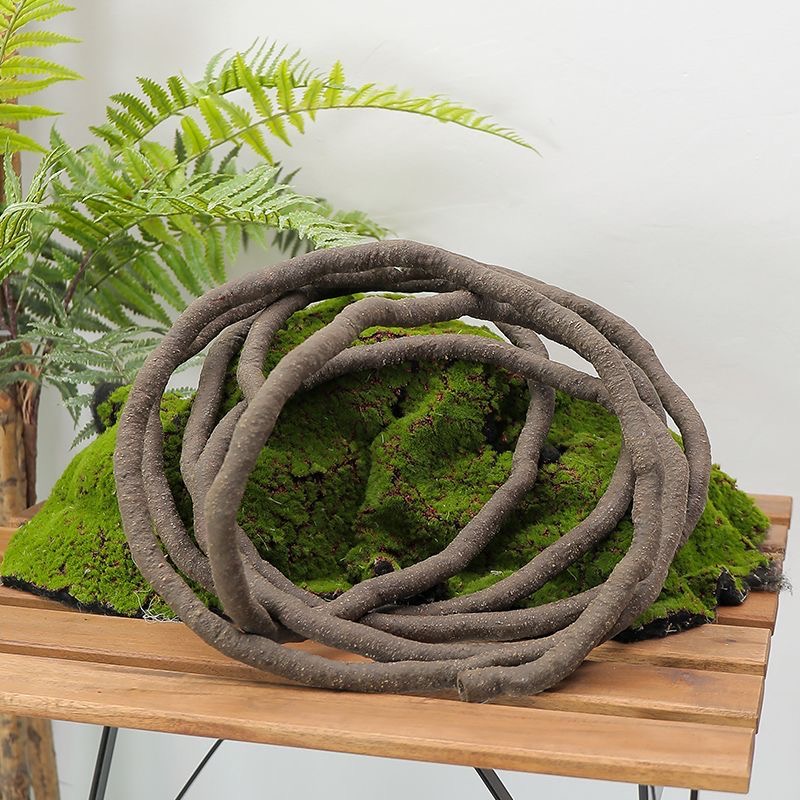 Plantes artificielles de lierr - Sphagnum Moss Dry avis et prix