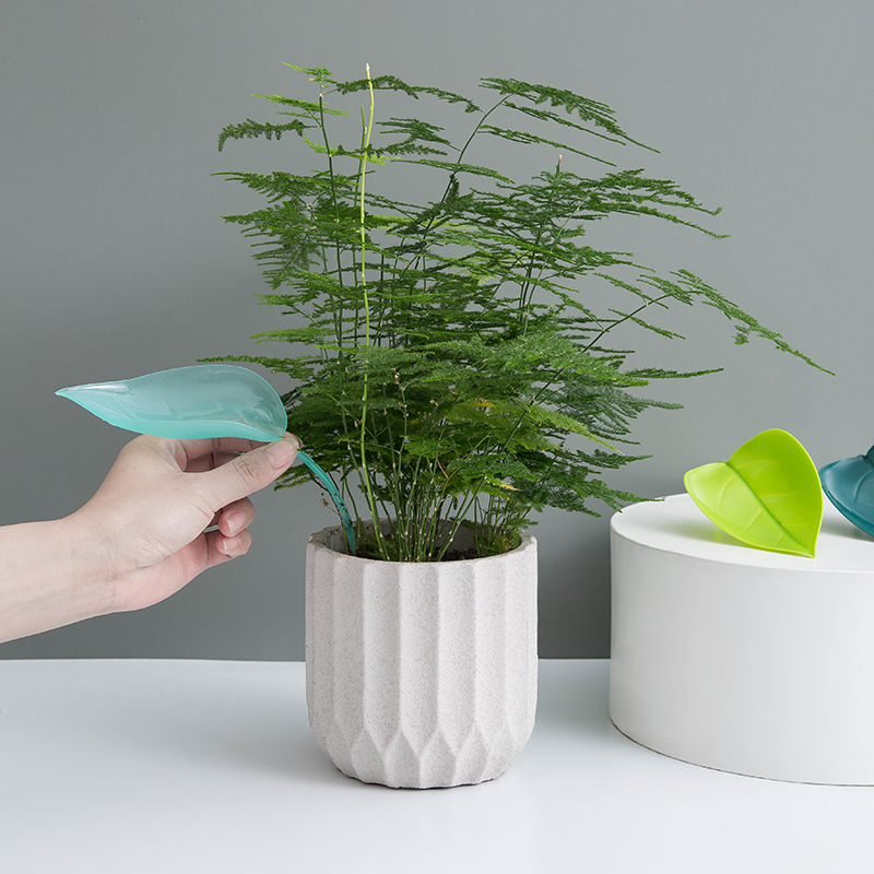 Entonnoir d'arrosage créatif p - Self Watering Insert avis et prix