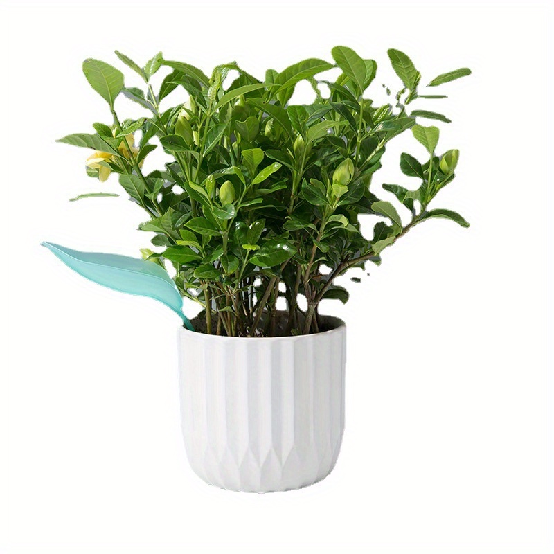 Entonnoir d'arrosage créatif p - Self Watering Insert avis et prix
