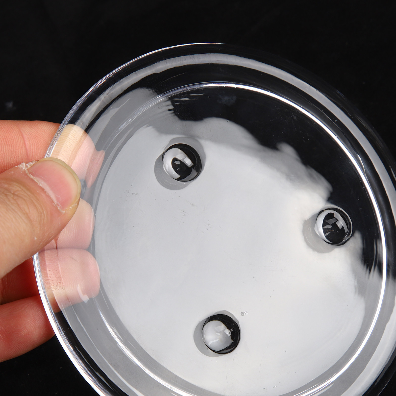 Dôme de présentation transpare - Plastic Dome Clear avis et prix