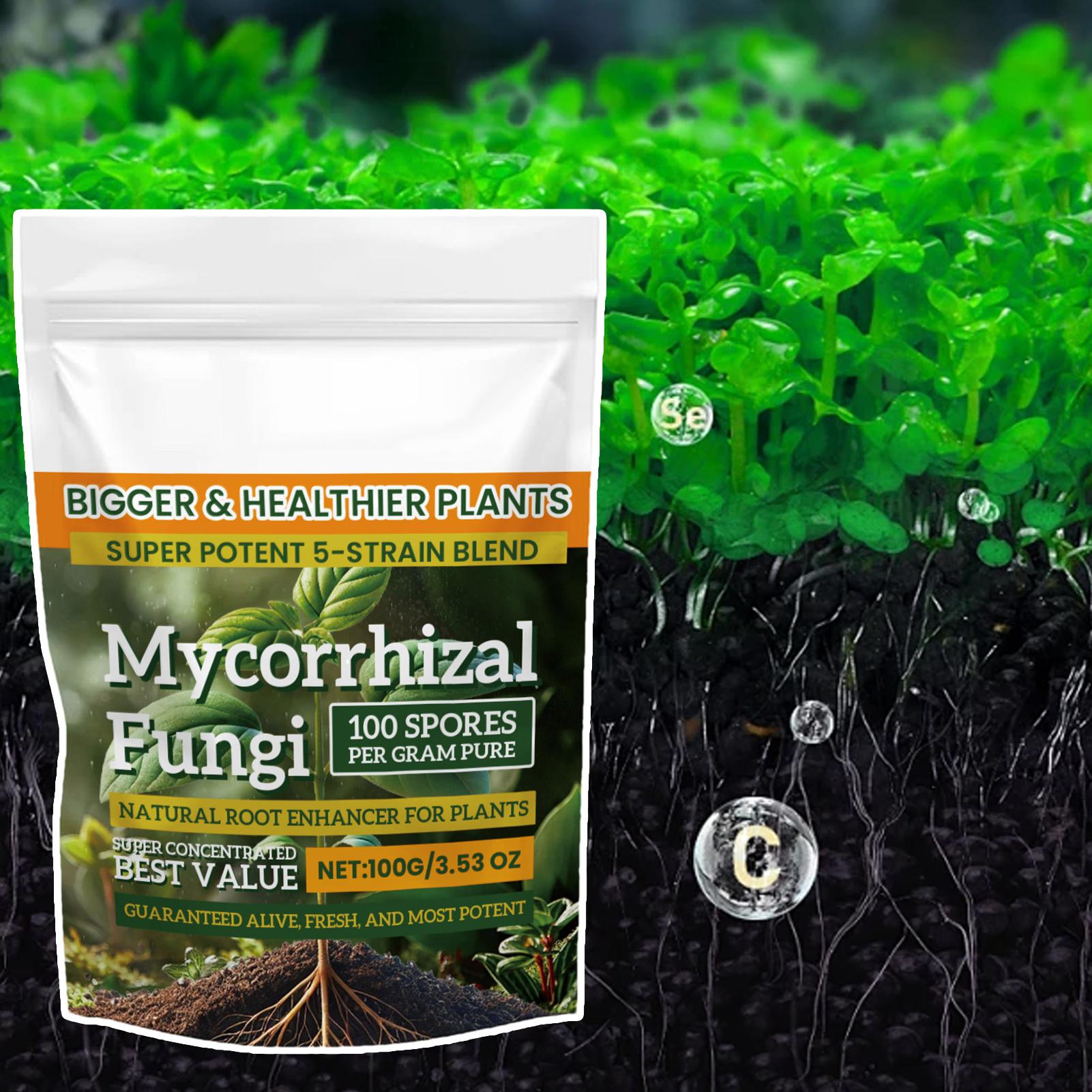 Nouvelle poudre nutritive pour - Rooting Hormone Powder avis et prix
