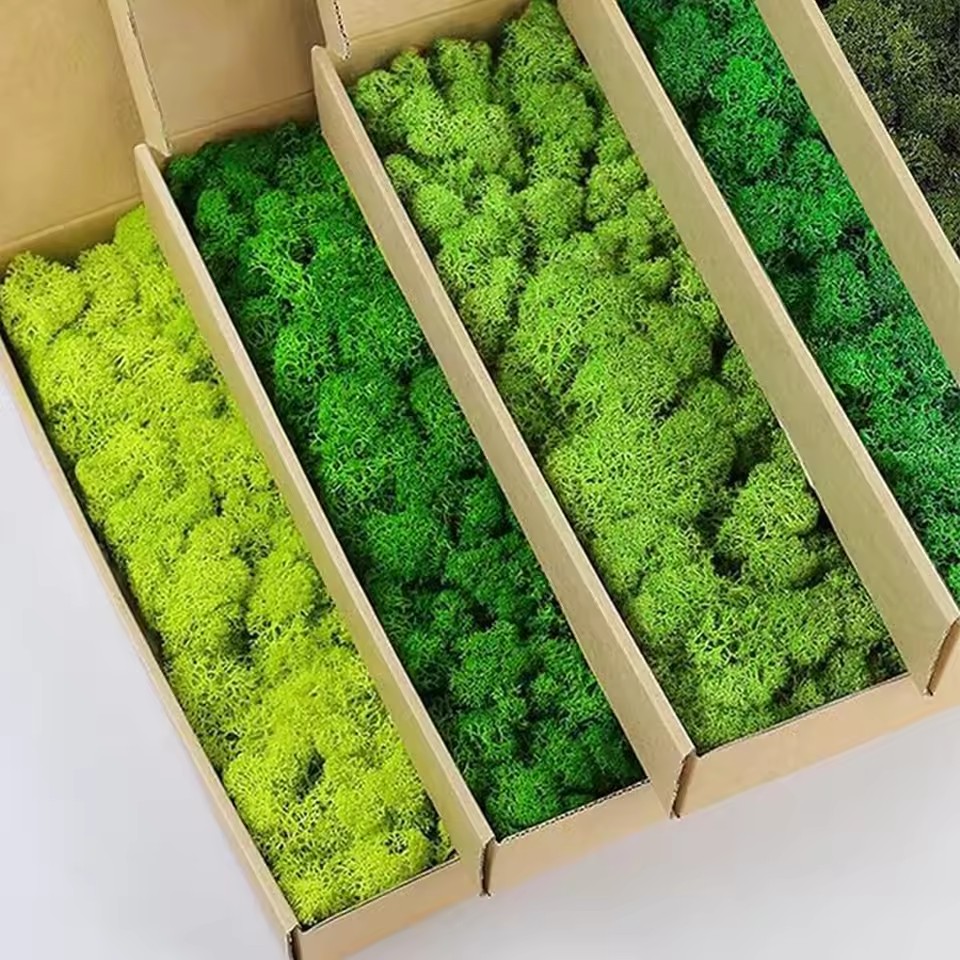Plantes vertes artificielles e - Sphagnum Moss Dry avis et prix