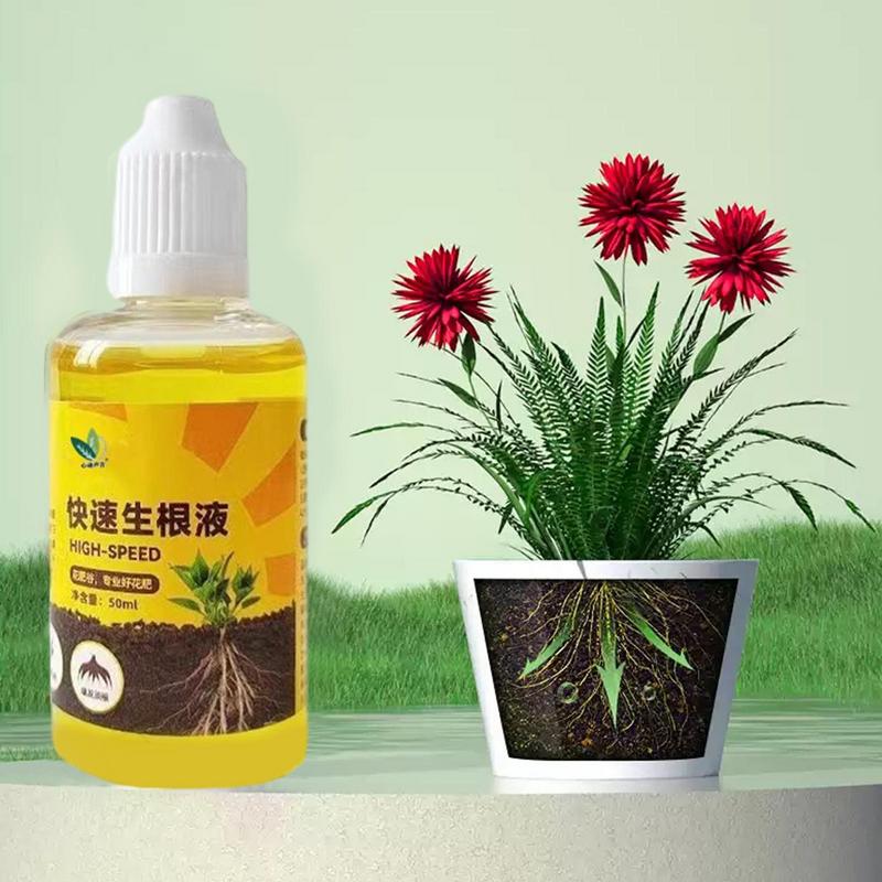 Solution d'enracinement liquid - Root Stimulator Liquid avis et prix