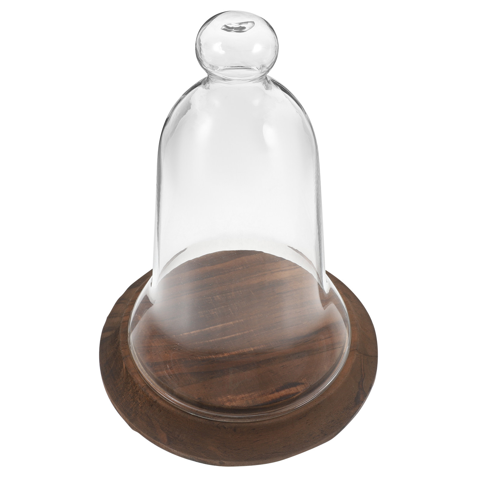 Cloche en verre borosilicate t - Plastic Dome Clear avis et prix