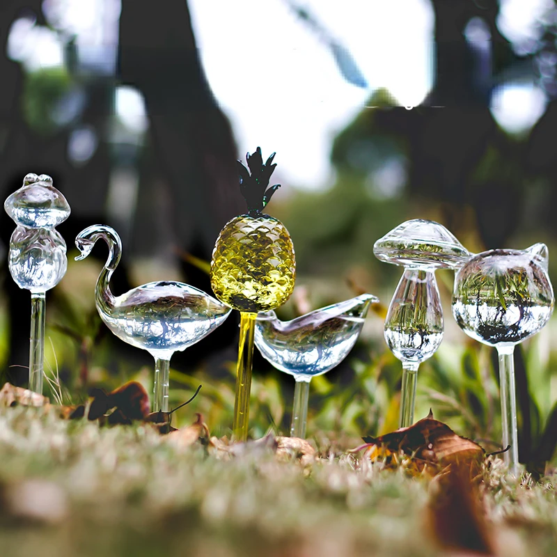 Arroseur créatif en verre pour - Self Watering Insert avis et prix