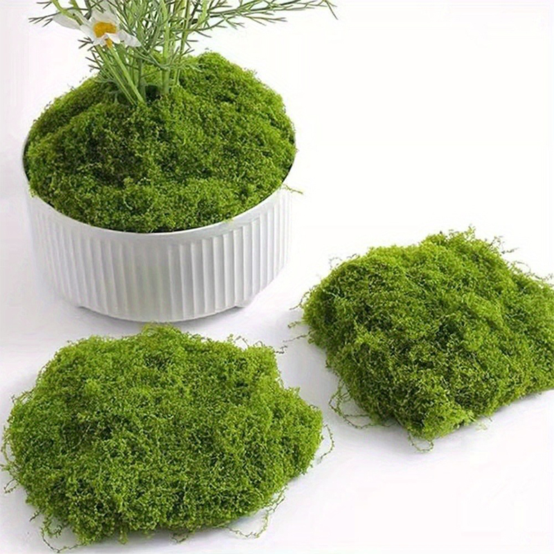 Fausse mousse verte artisanale - Sphagnum Moss Dry avis et prix