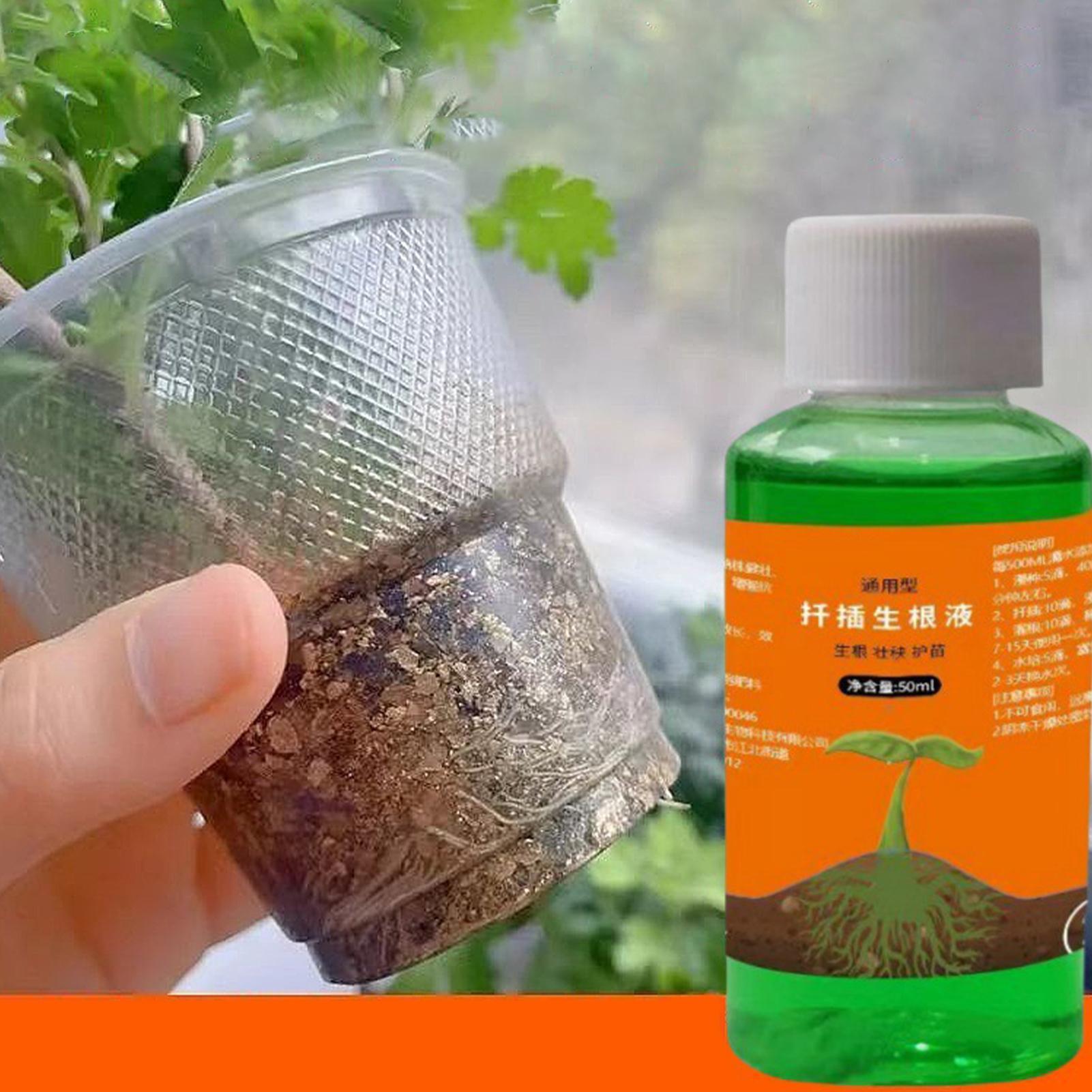 Solution nutritive pour repiqu - Root Stimulator Liquid avis et prix