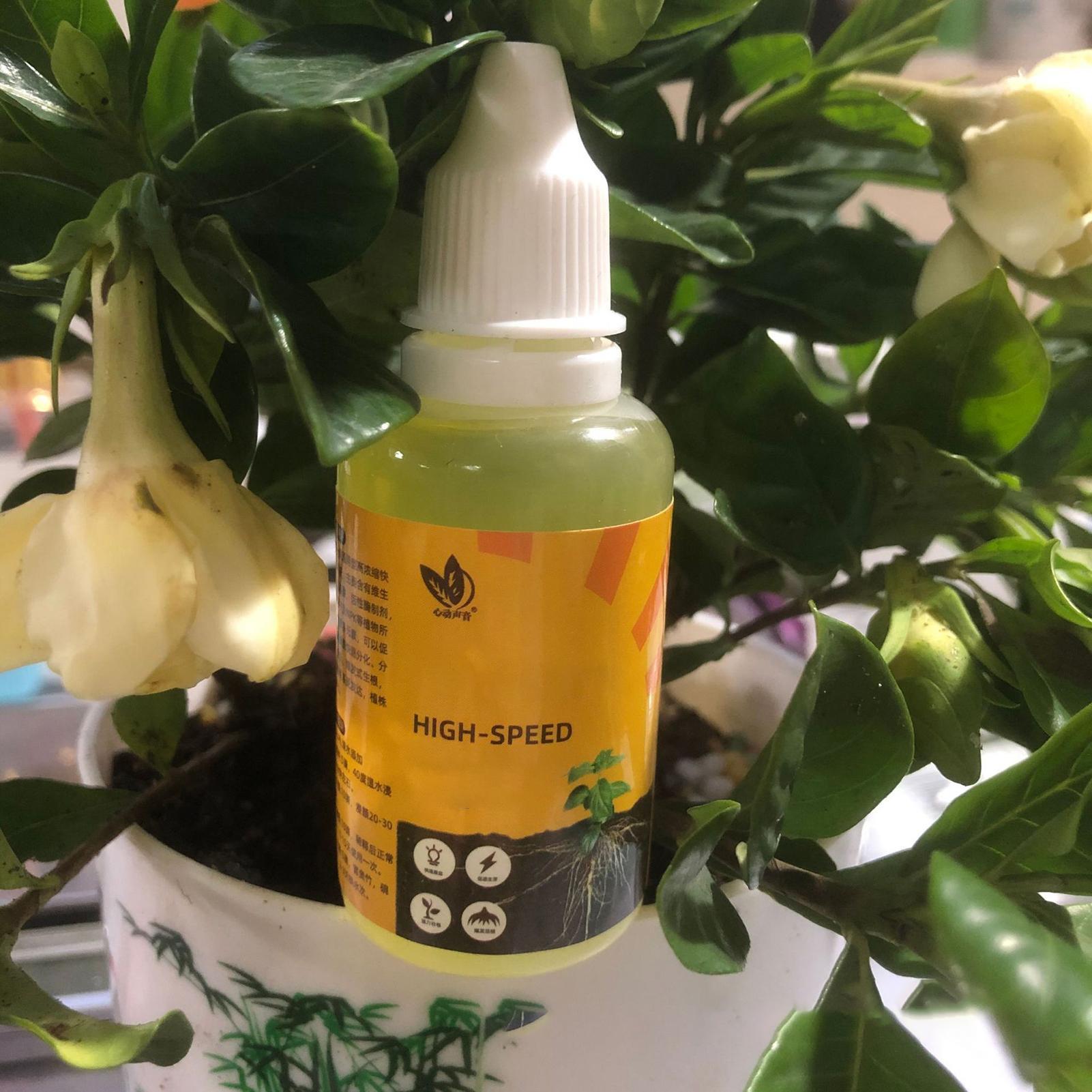 Solution d'enracinement rapide - Root Stimulator Liquid avis et prix