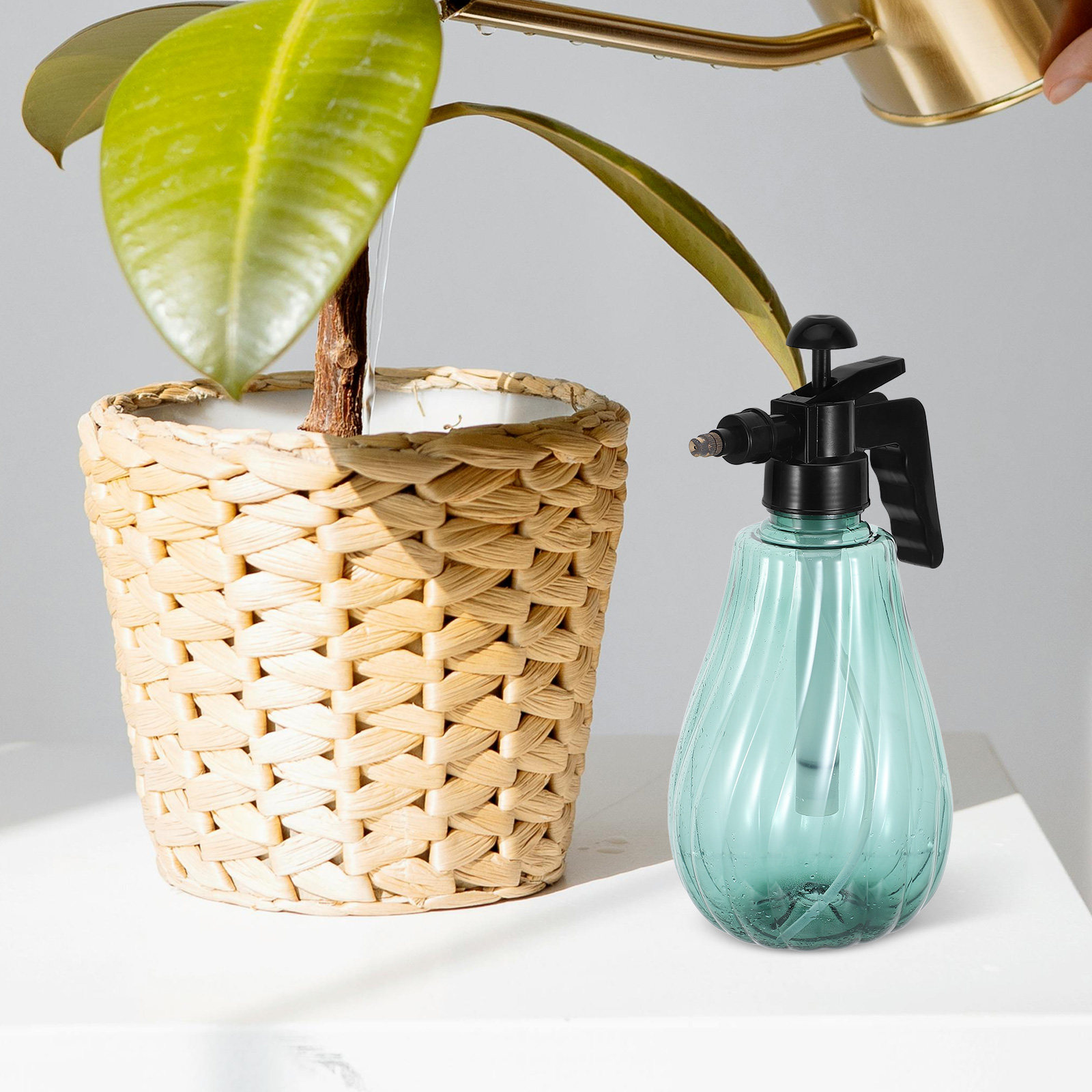 Pulvérisateur de jardin portat - Misting Bottle Fine avis et prix