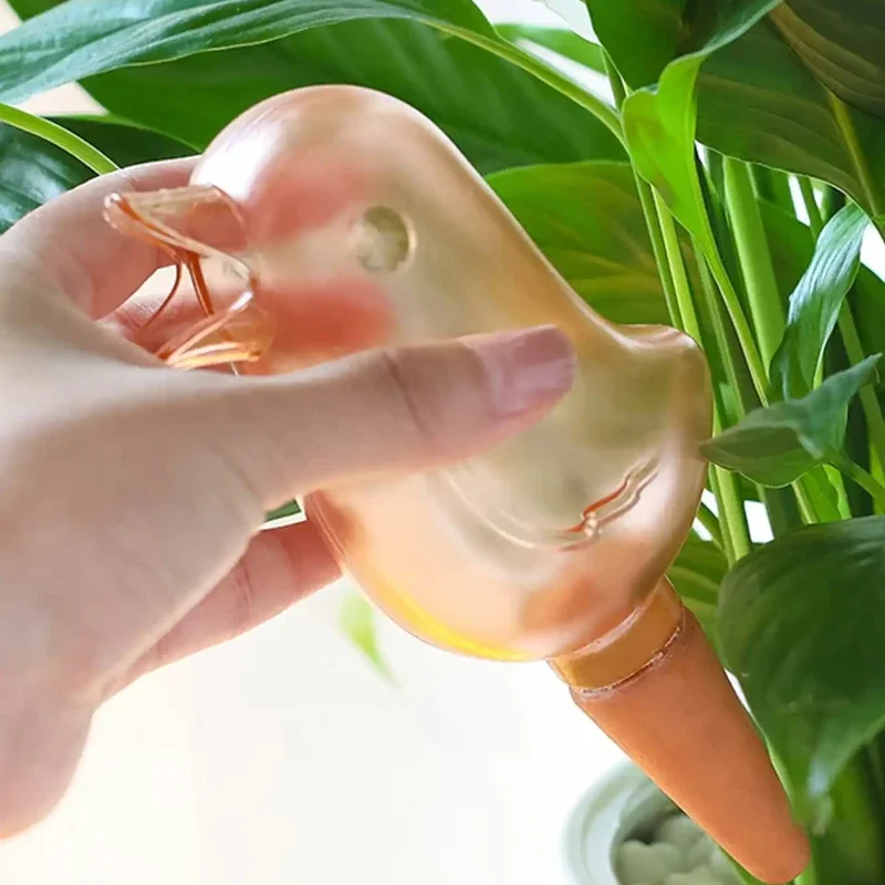 Arroseur de fleurs automatique - Self Watering Insert avis et prix