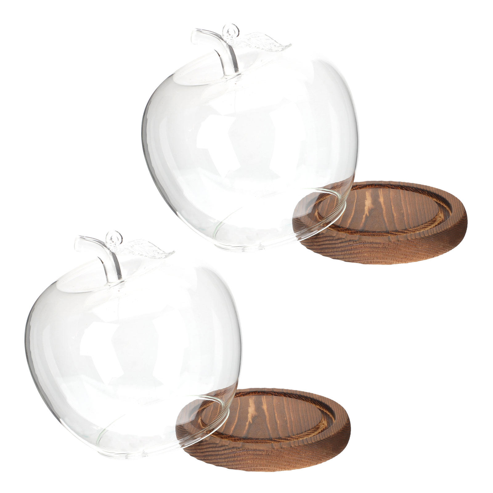 Lot de 2 cloches en verre avec - Plastic Dome Clear avis et prix