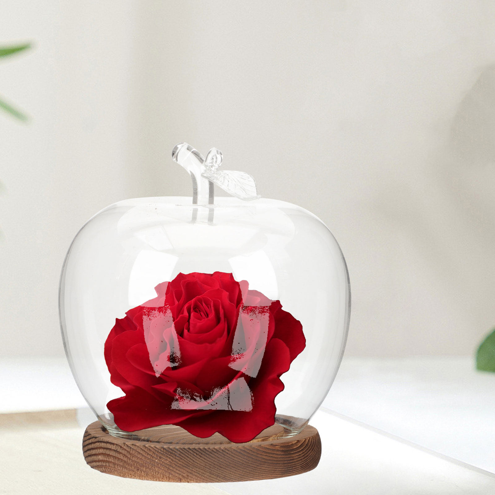Lot de 2 cloches en verre avec - Plastic Dome Clear avis et prix